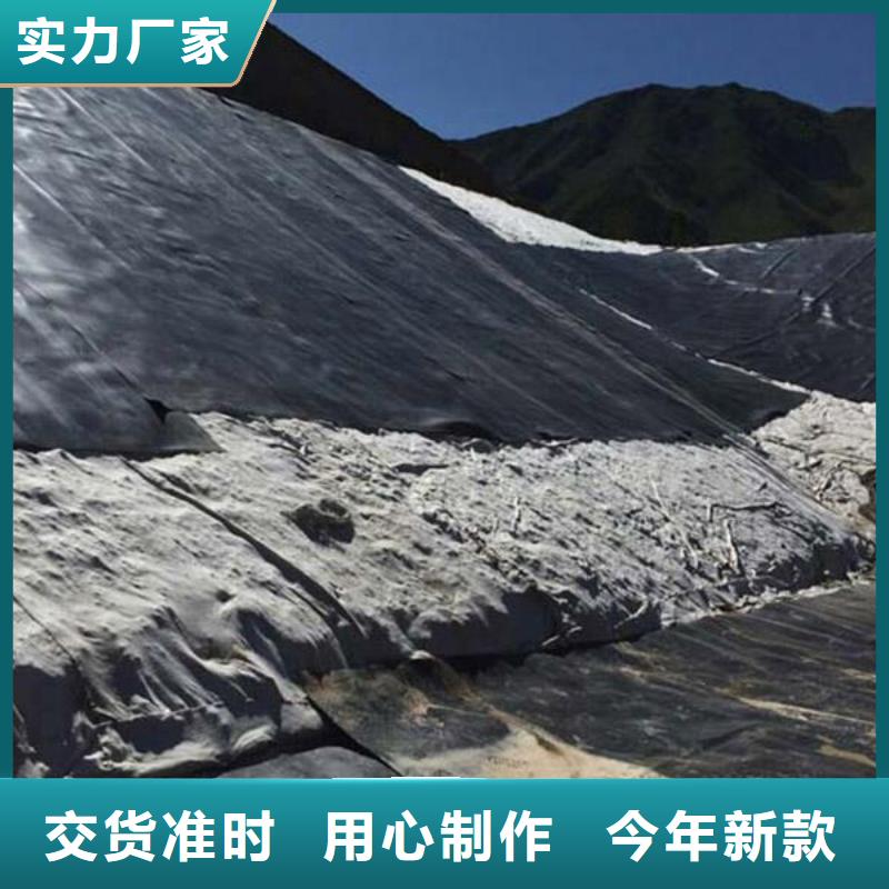 柱点糙面土工膜厂家直供在线沟通