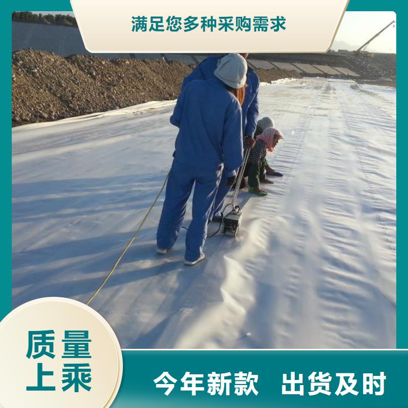 柱点糙面土工膜实力厂家/现货供应