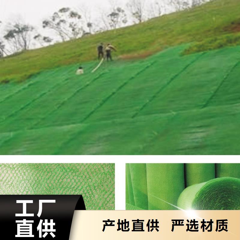 草坪三维植被网实力厂家/现货供应