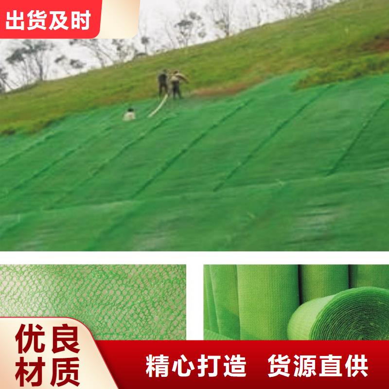 济源市护坡固土植被网多规格可定制