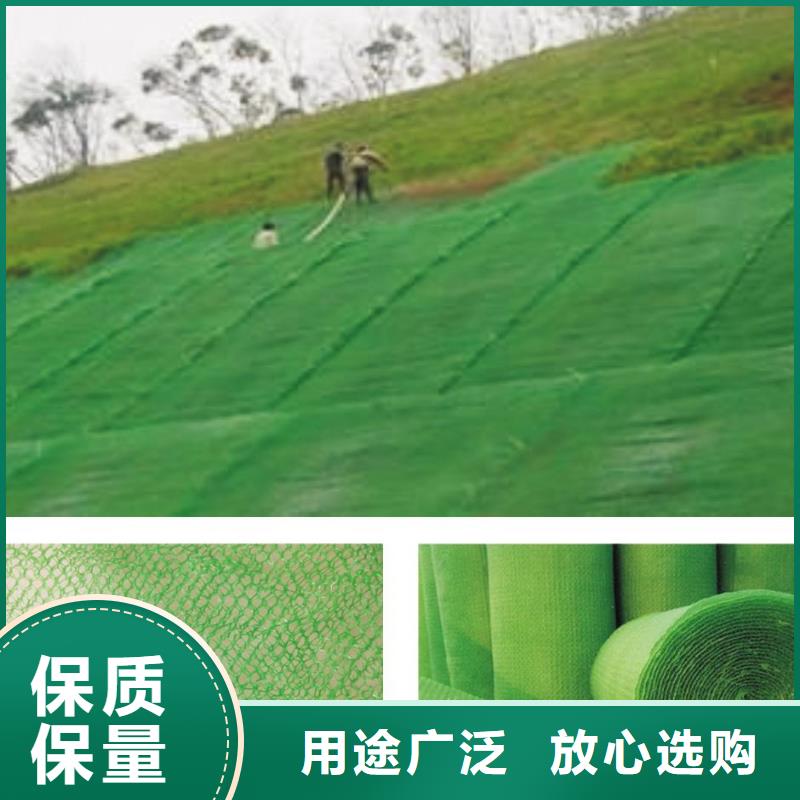 边坡防护三维植被网厂家直供
