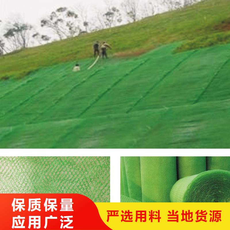 护坡固土植被网实力厂家/现货供应