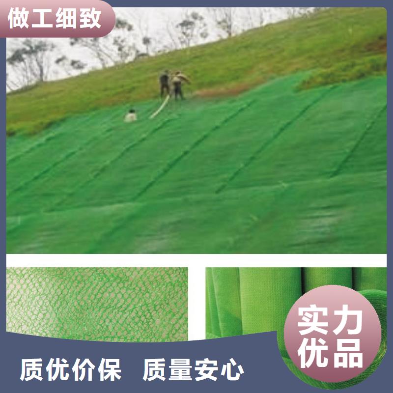 2025多规格三维植被网实力厂家/现货供应