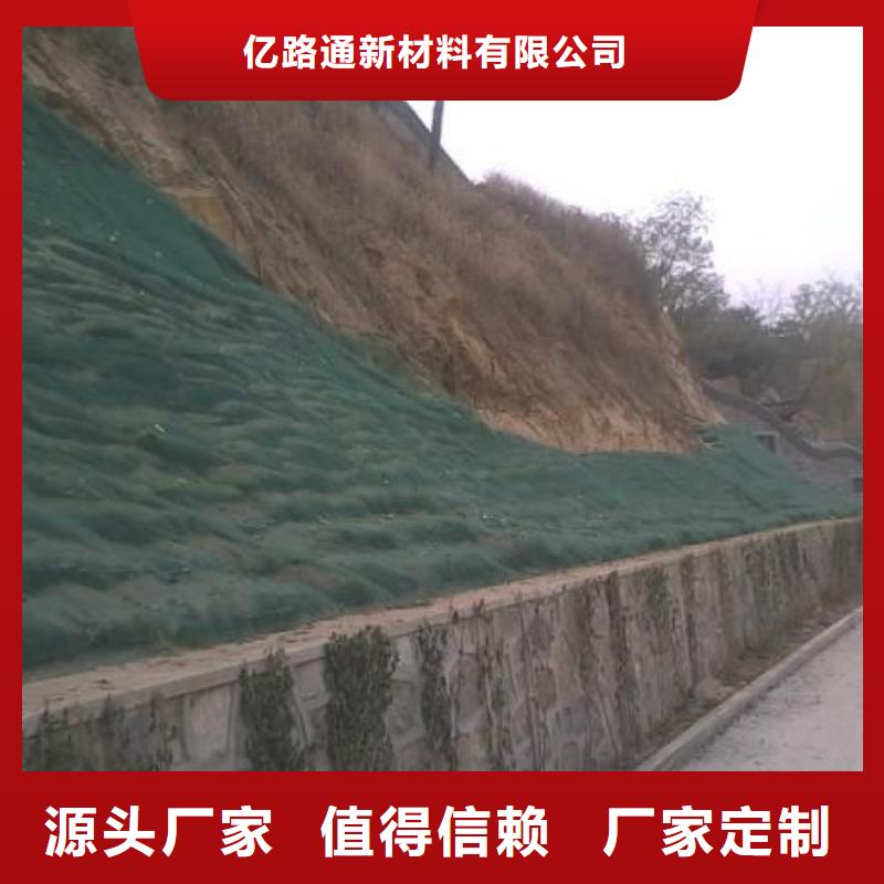 三维植被网【复合土工膜】厂家质量过硬