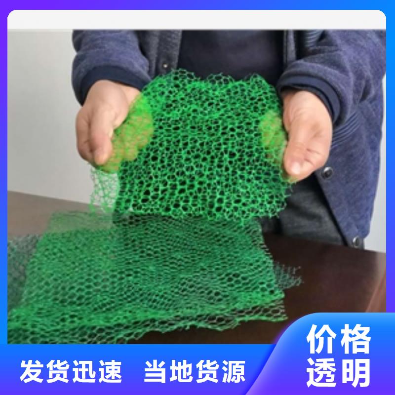 护坡固土植被网实力厂家/现货供应