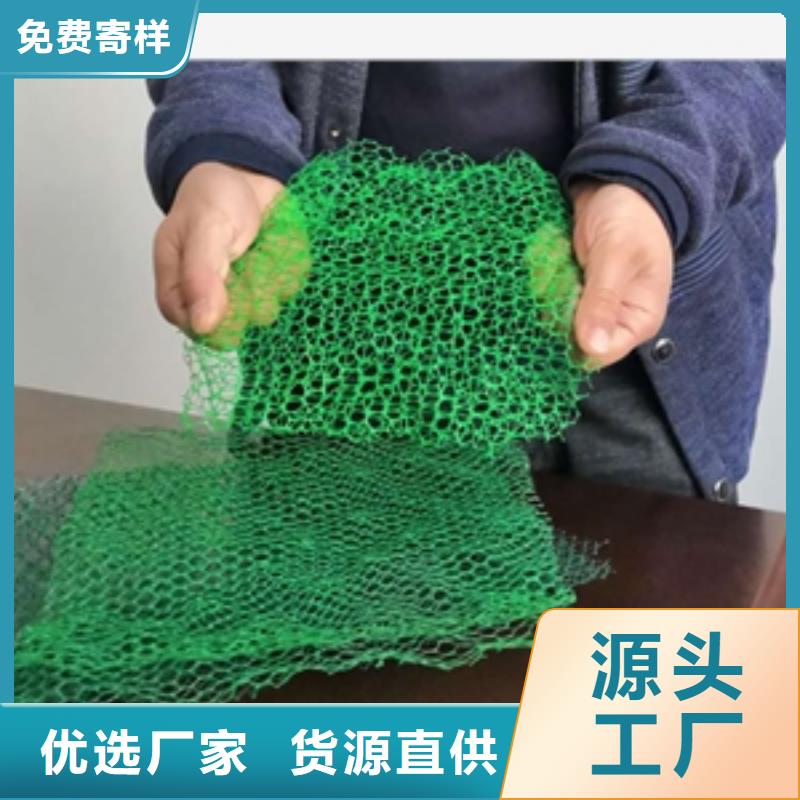 【三维植被网】凸结点钢塑土工格栅厂家型号齐全