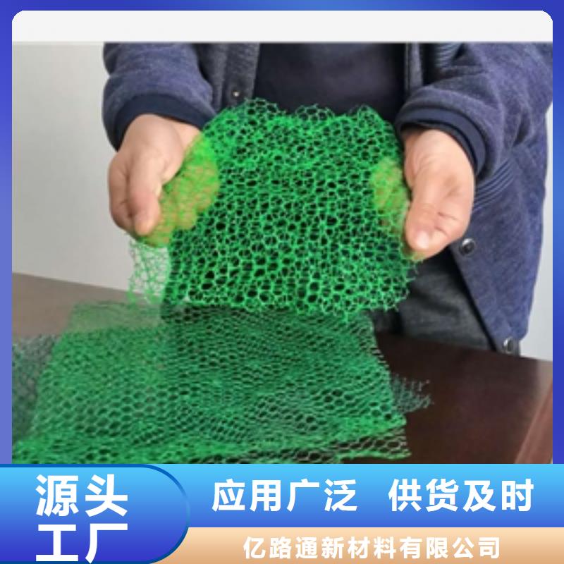 边坡防护三维植被网厂家直供