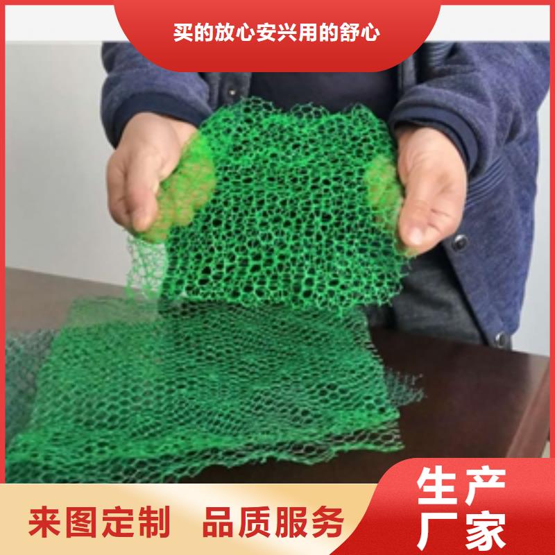 绿化环保三维植被网本年度报价