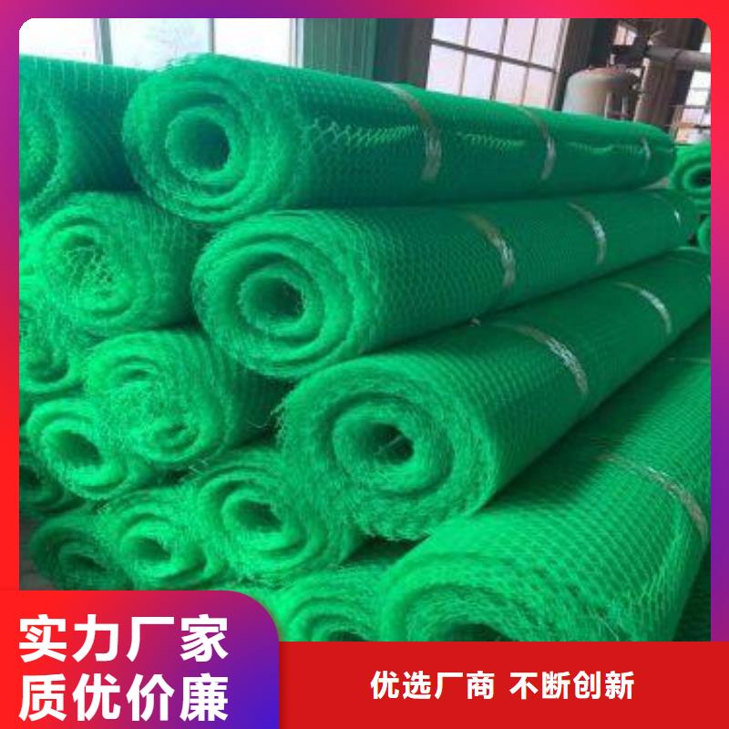 2025新型三维植被网施工方法