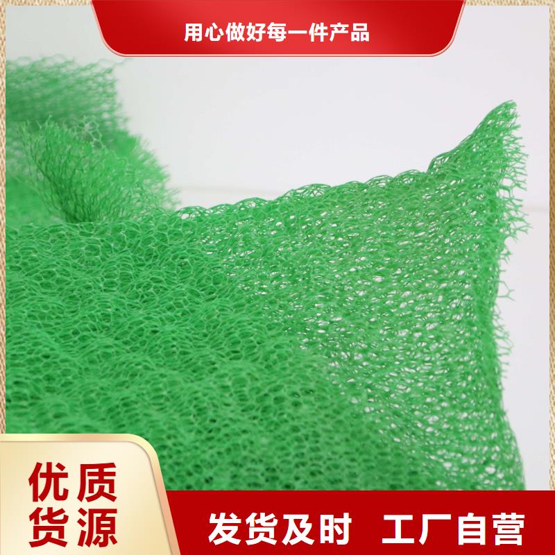 2025固土三维植被网多规格可定制
