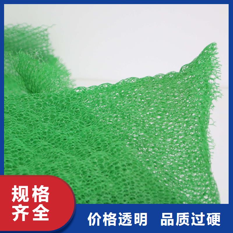 绿色三维植被网施工方法