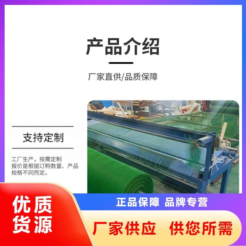 2025三维植被网垫生产厂家哪家好
