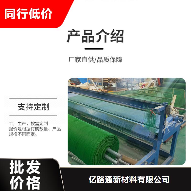 2025抗老化三维植被网施工方法