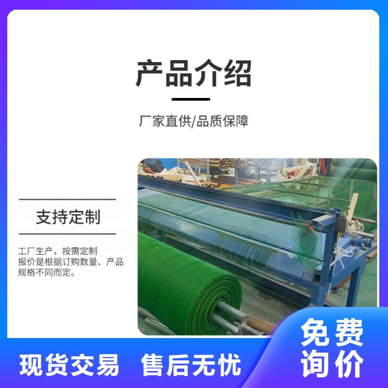 多规格三维植被网实力厂家/现货供应