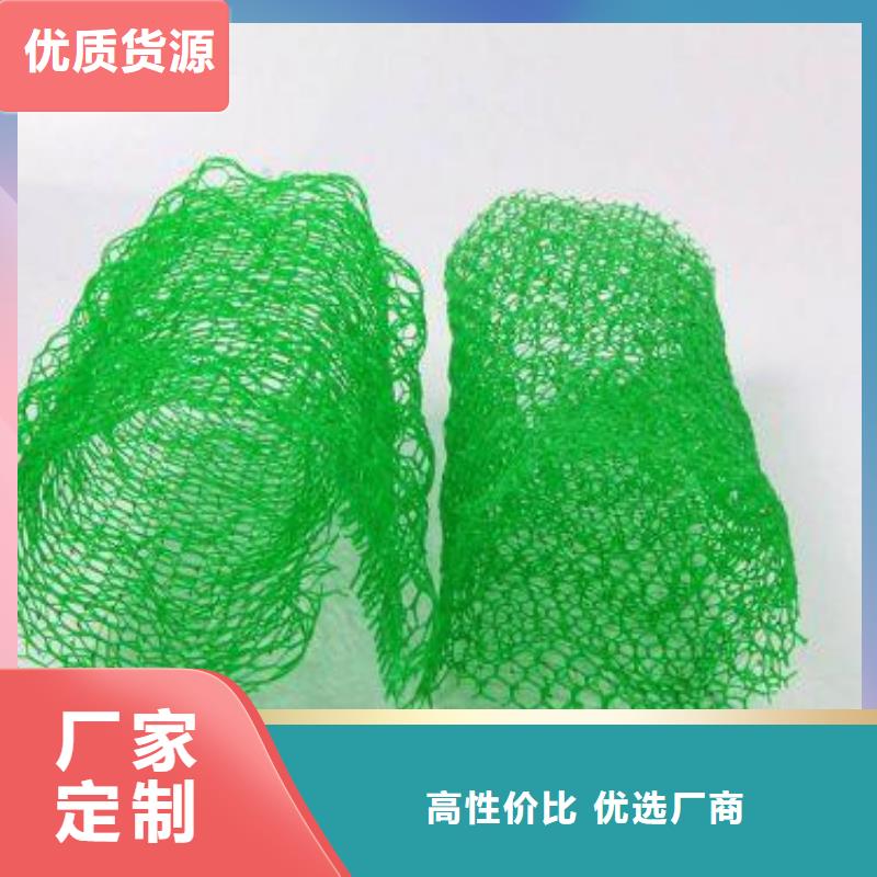 2025绿色三维植被网免费寄样提供检测