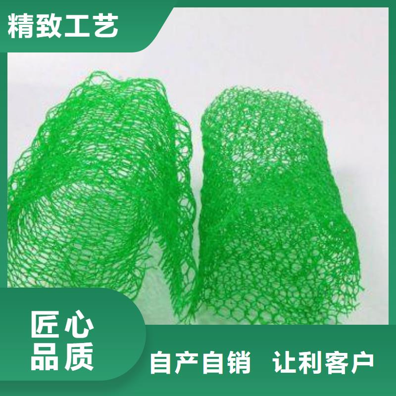 2025抗老化三维植被网生产厂家哪家好