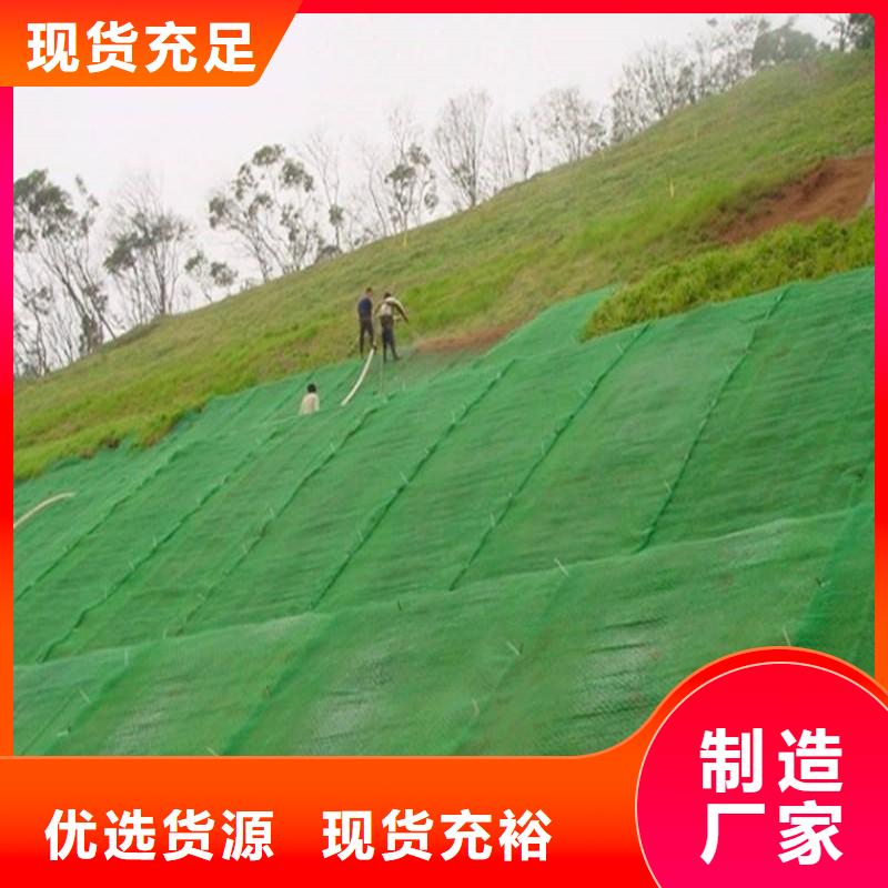 三维植被网复合土工膜质量上乘