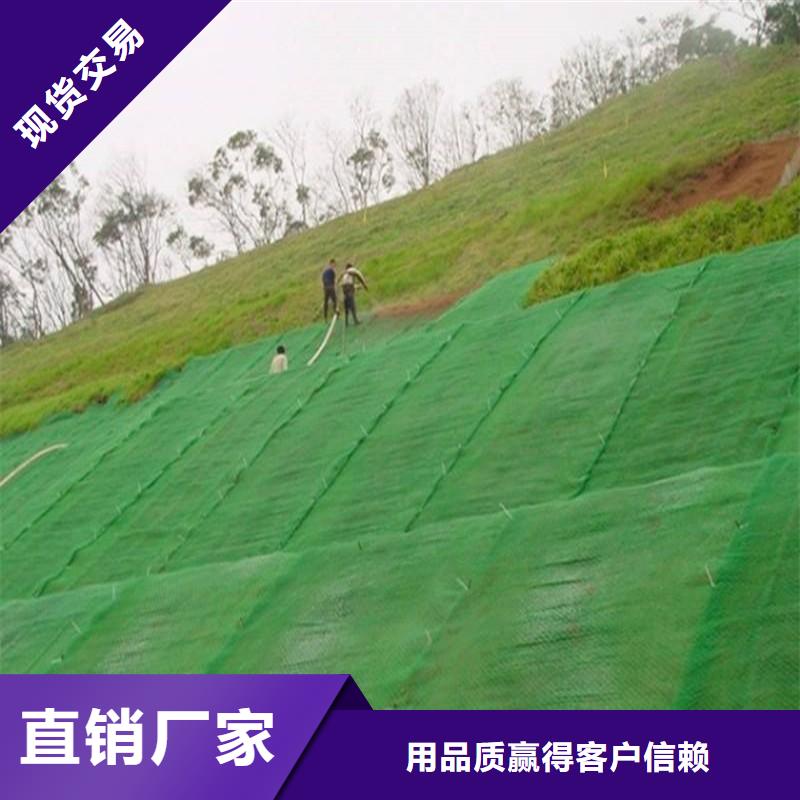 边坡防护三维植被网施工方法