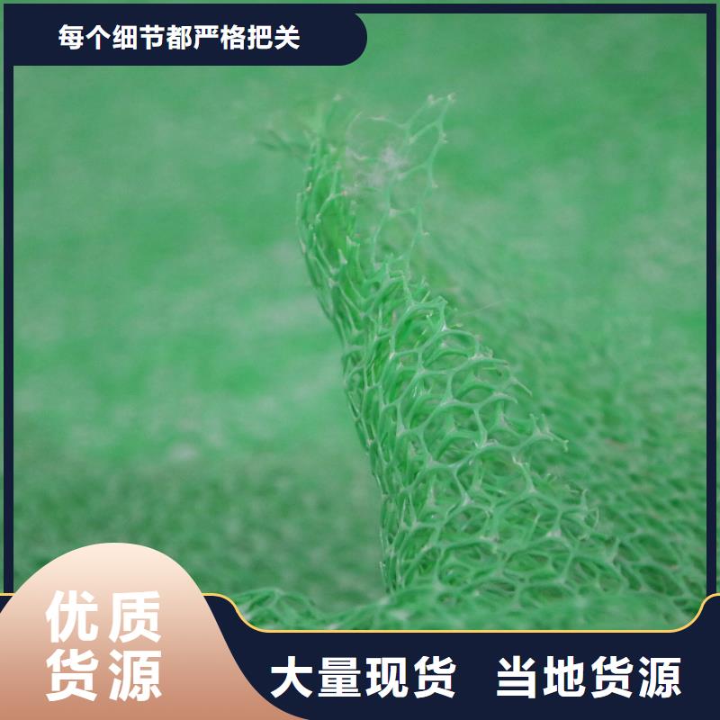 2025新型三维植被网施工方法