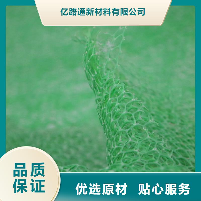 绿化环保三维植被网多规格可定制