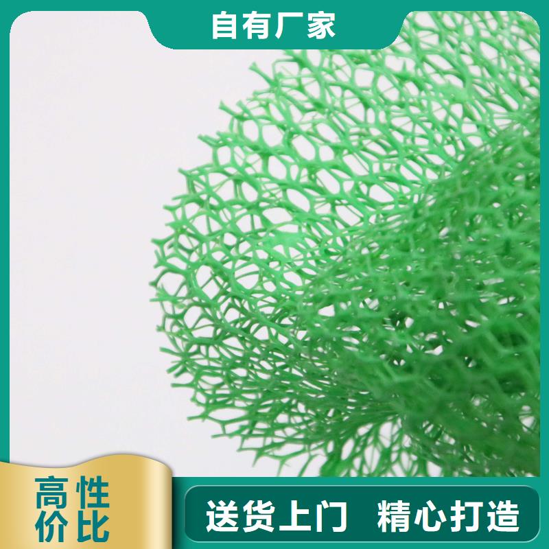 固土三维植被网生产厂家哪家好