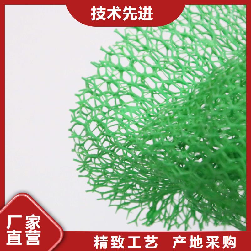 多规格三维植被网实力厂家/现货供应