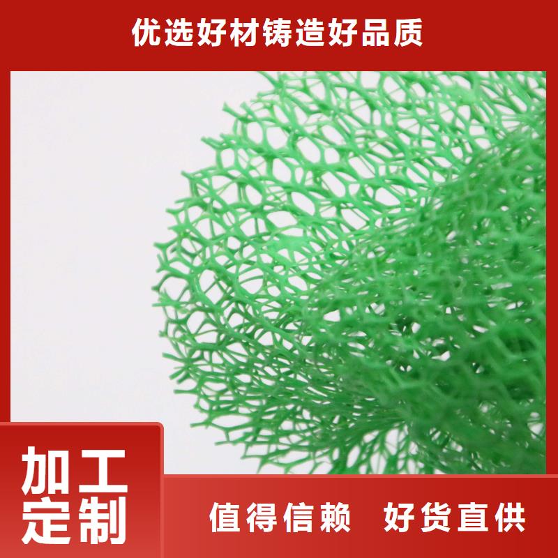 2025三维植被网垫生产厂家哪家好