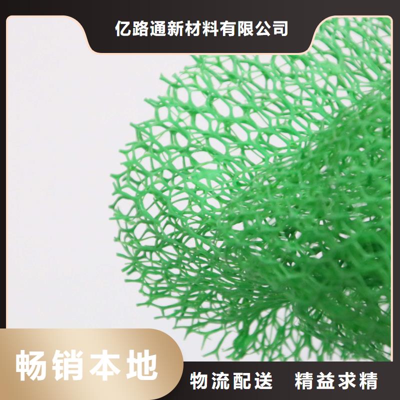 济源市护坡固土植被网多规格可定制