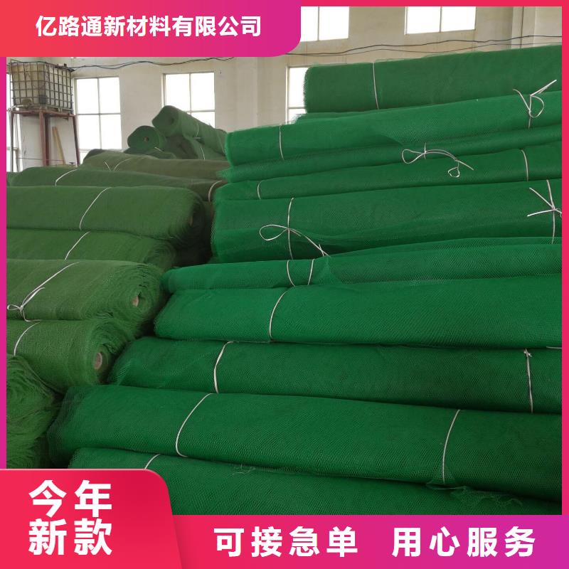 三维植被网聚乙烯土工膜专业生产设备