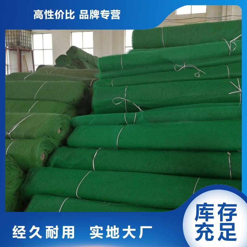 2025三维植被网垫生产厂家哪家好