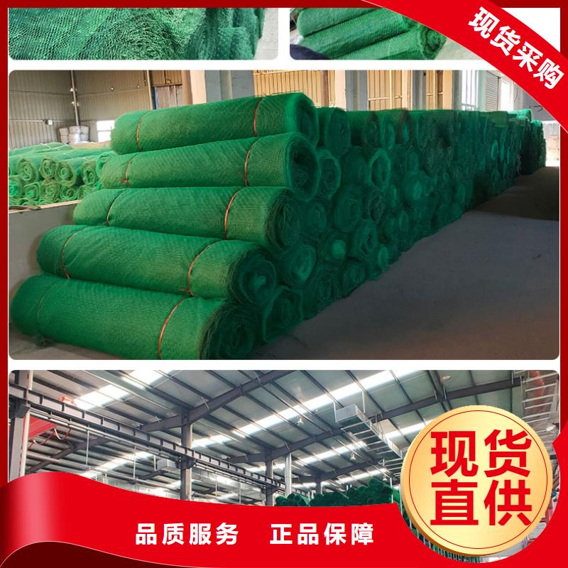 三维植被网钢塑土工格栅质检合格发货