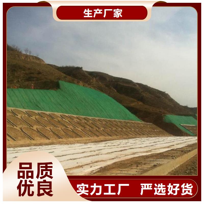 济源市护坡固土植被网多规格可定制