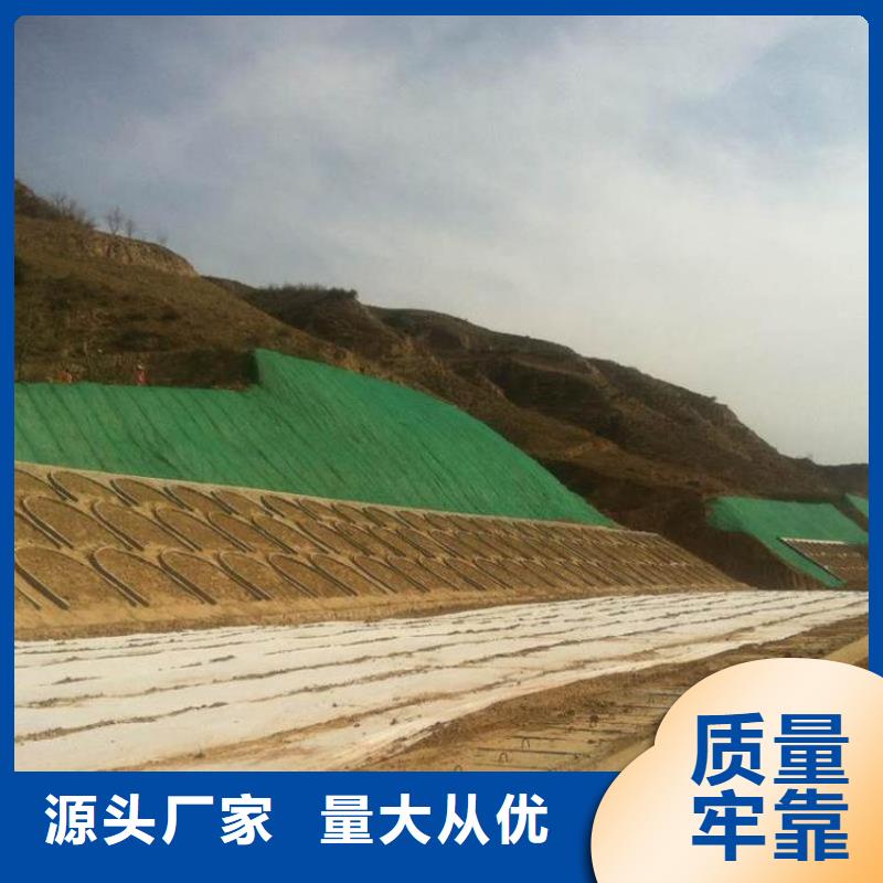 多规格三维植被网实力厂家/现货供应