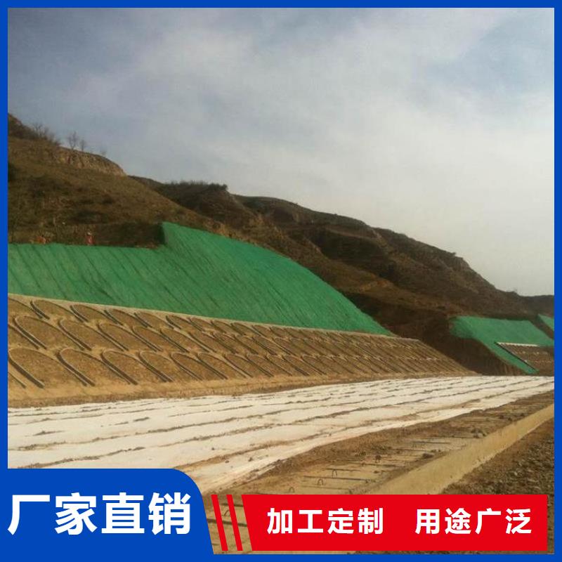 2025塑料三维植被网本年度报价