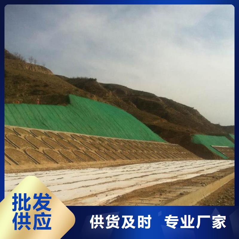 【三维植被网】凸结点钢塑土工格栅厂家型号齐全