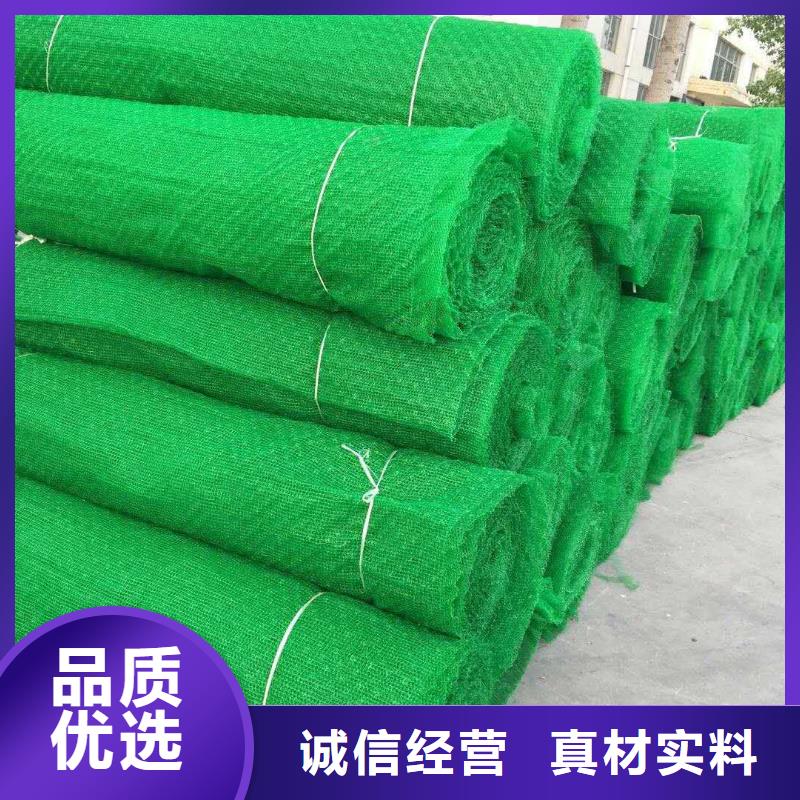 2025绿色三维植被网免费寄样提供检测