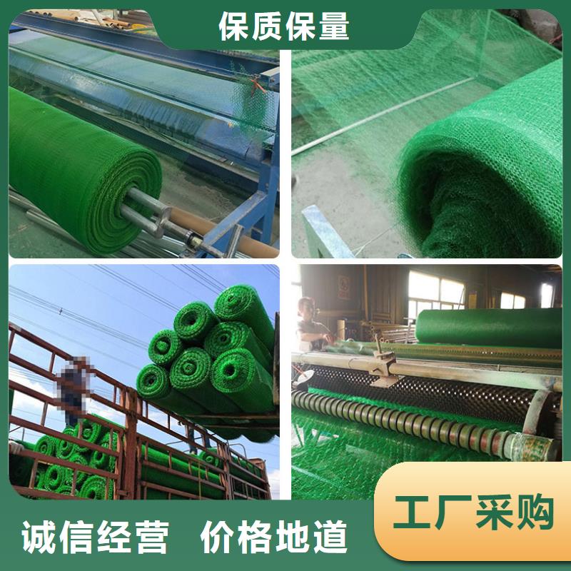 三维植被网,复合土工膜多年经验值得信赖