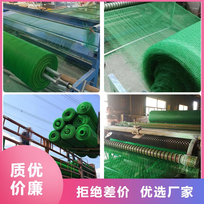 多规格三维植被网厂家直供