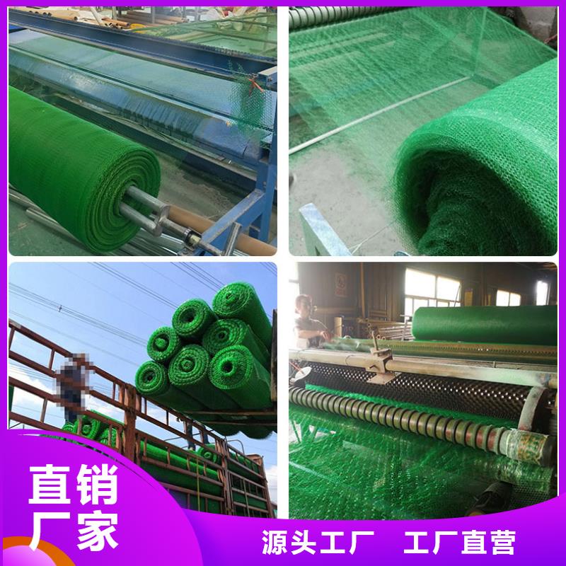 抗老化三维植被网厂家直供