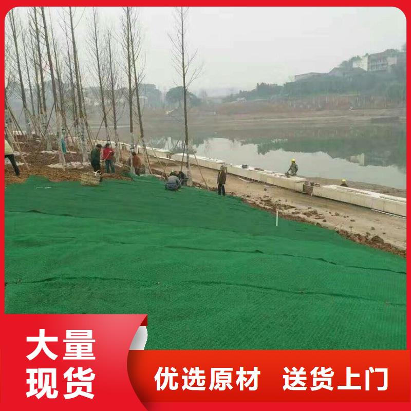 三维植被网透水土工布做工细致