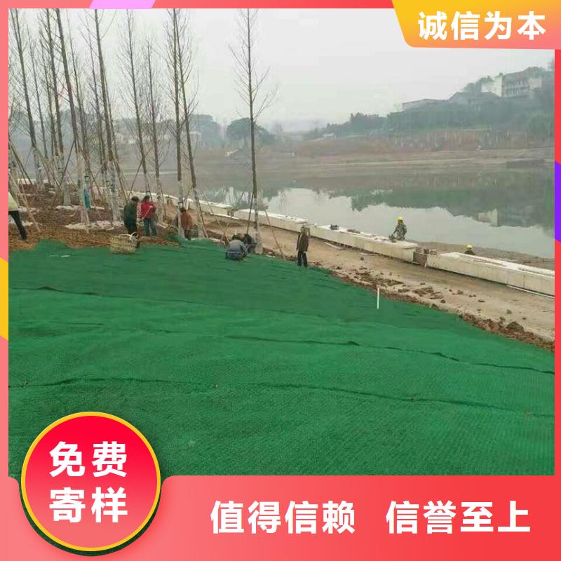 三维植被网垫生产基地哪里有？