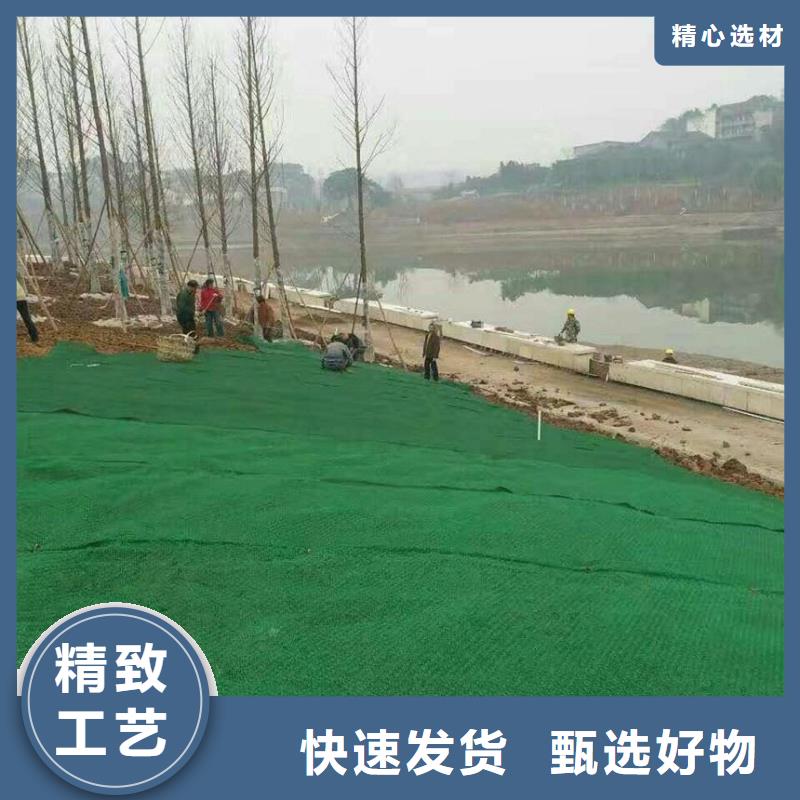 护坡固土植被网实力厂家/现货供应