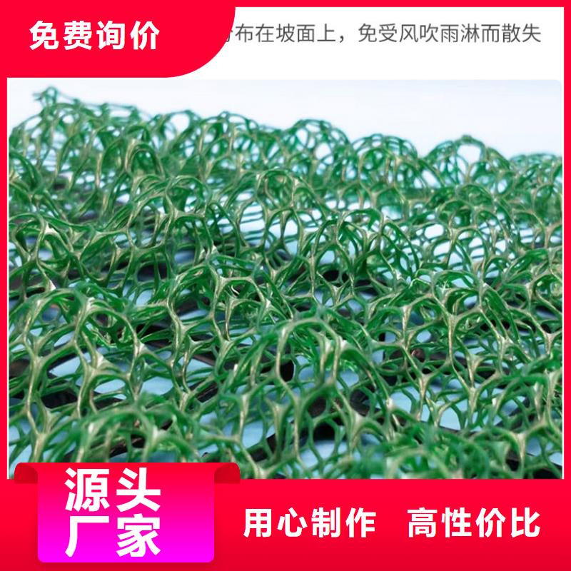 三维复合植被网生产基地哪里有？