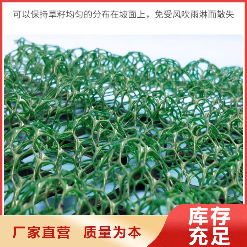 边坡防护三维植被网生产厂家哪家好