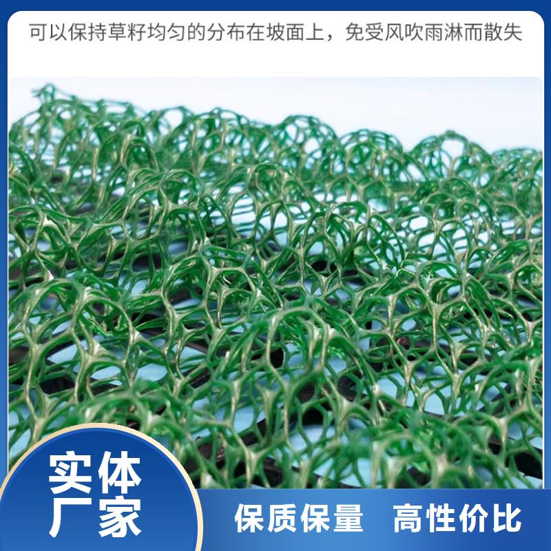 三维植被网垫生产基地哪里有？