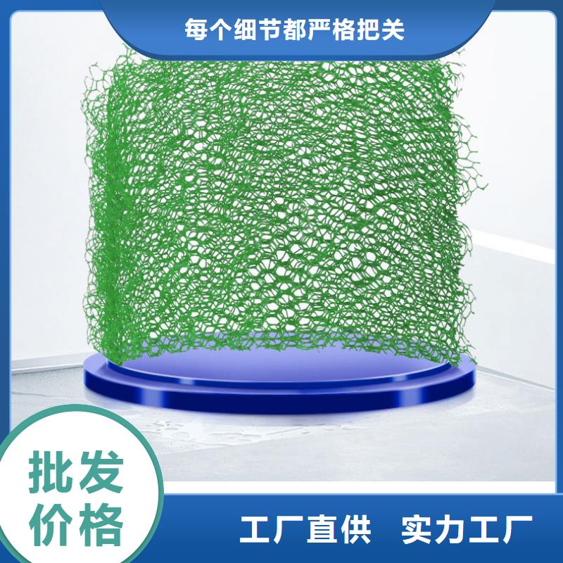 2025济源市环保三维植被网生产厂家哪家好