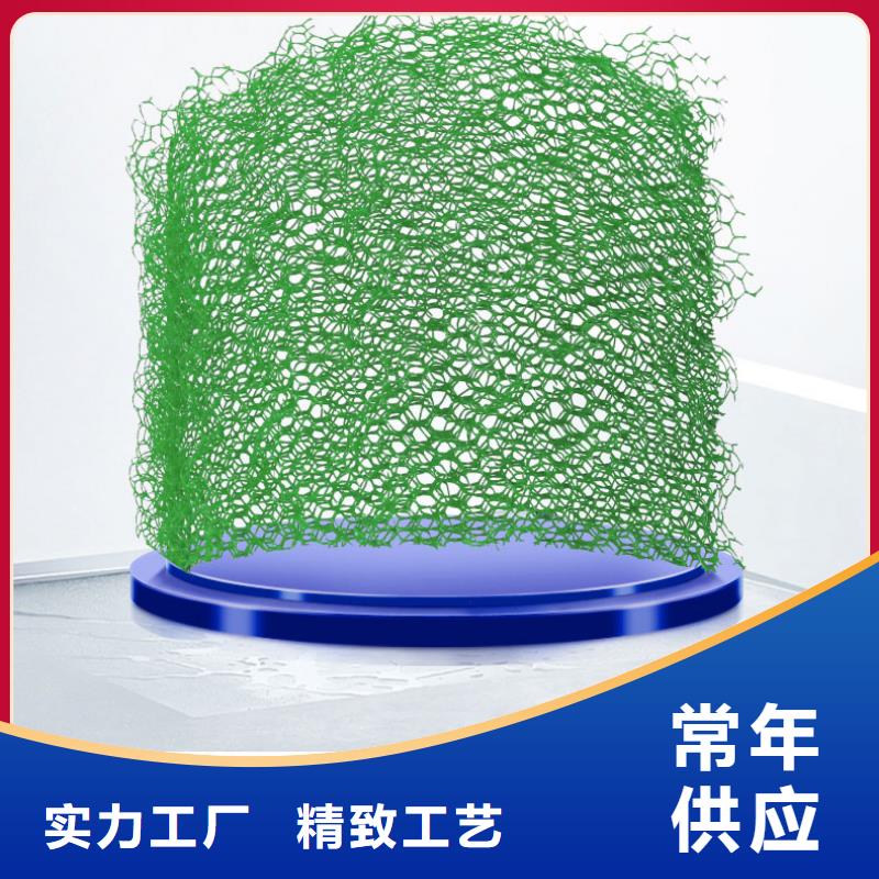 三维植被网【土工席垫】安装简单