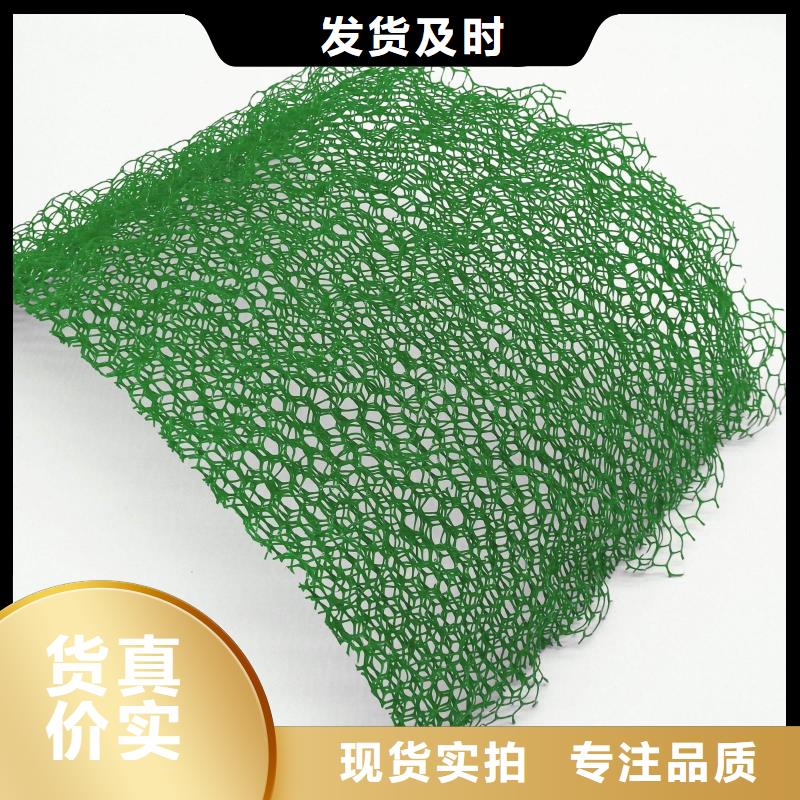 2025三维植被网垫生产厂家哪家好