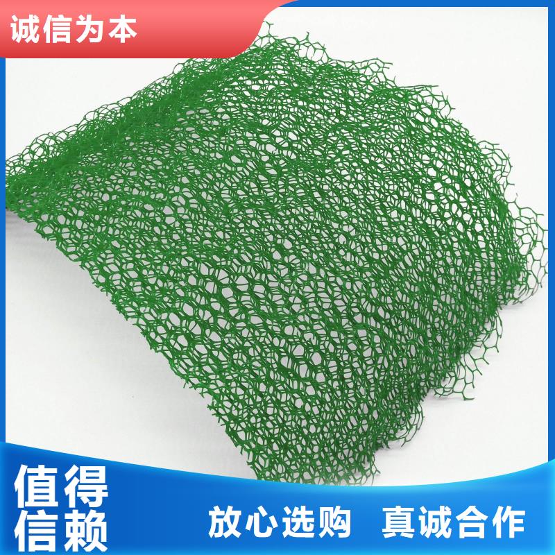 多规格三维植被网厂家直供