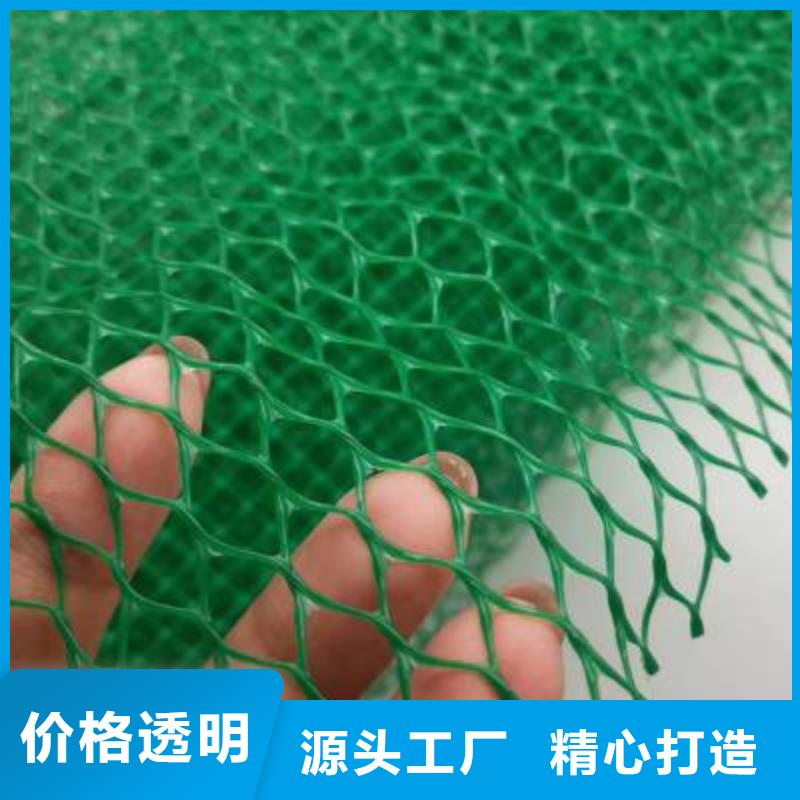 三维植被网钢塑土工格栅质检合格发货